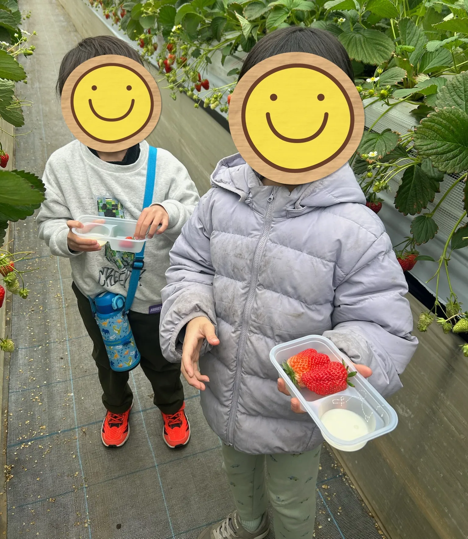 初体験?! いちご狩り🍓 【横須賀 放課後デイサービス】